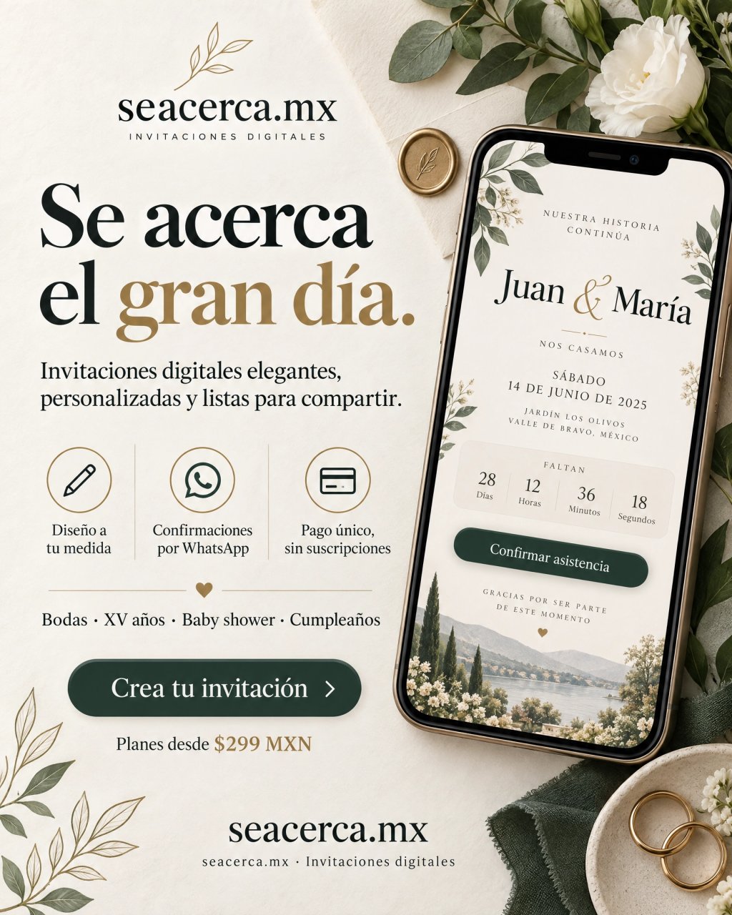 Imagen de galería